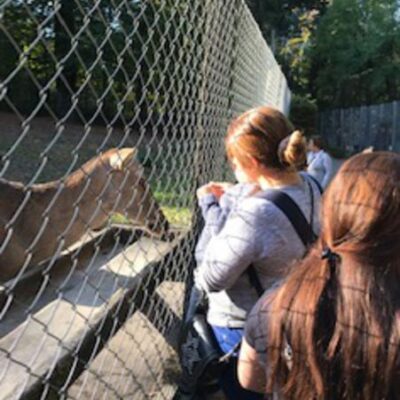 Ausflug mit den Kindern der Hausaufgabenbetreuung in den Tierpark Olderdissen