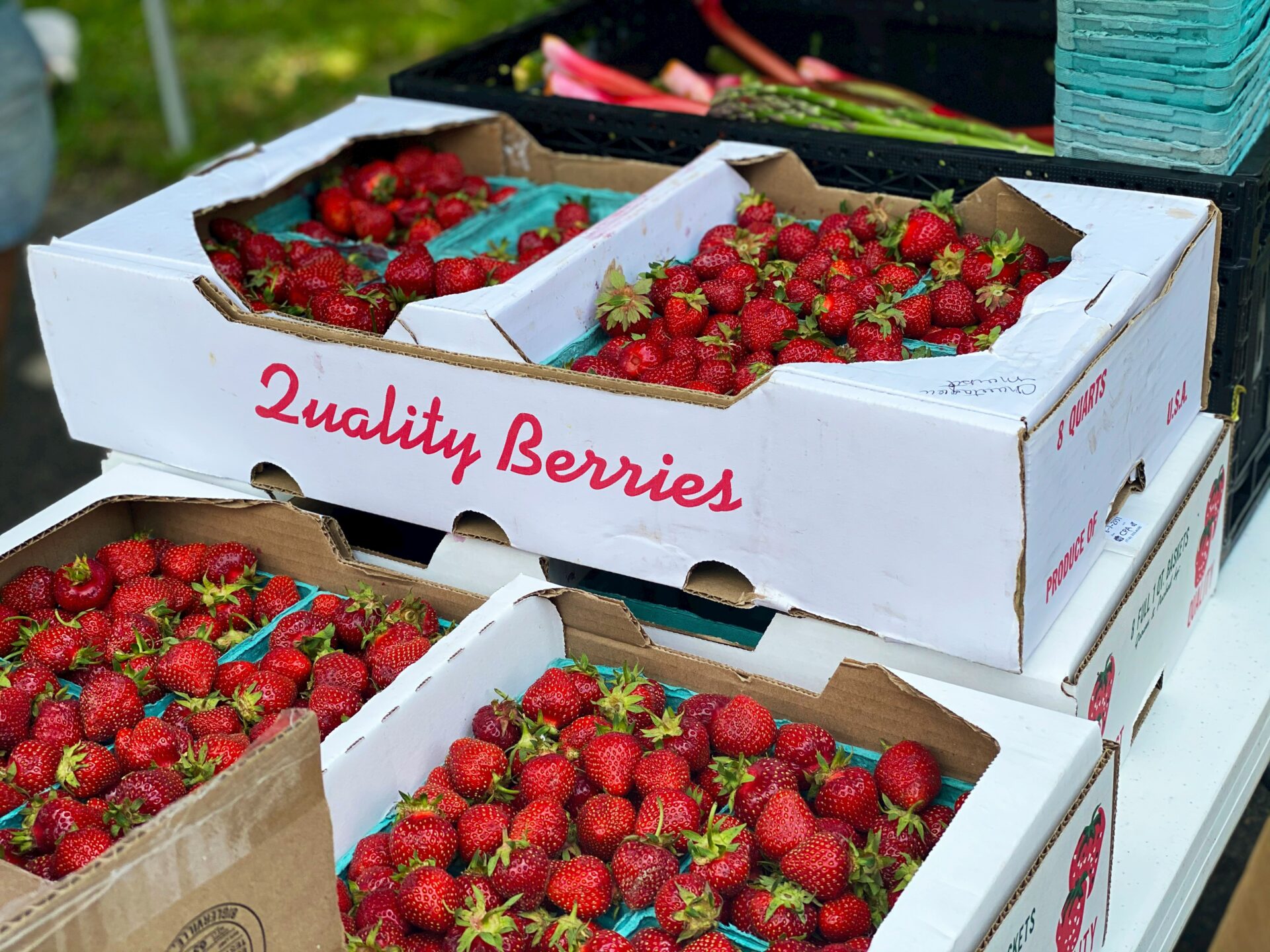 Frische Erdbeeren in Pappkisten