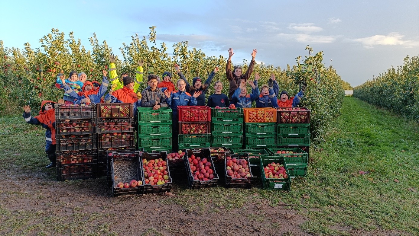 Stoppeln für die Tafel
